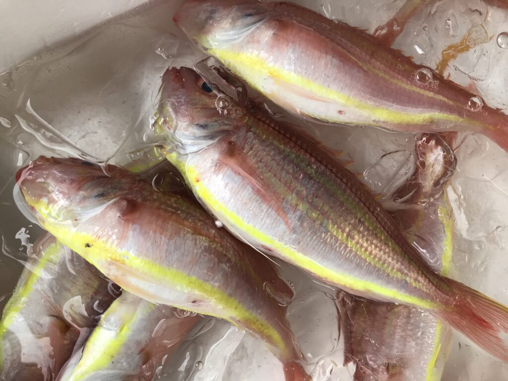 魚助商店 熱海魚市場