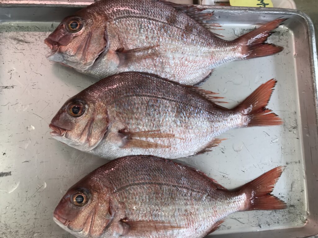 魚助商店 熱海魚市場