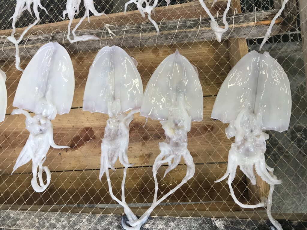 有 魚竹 熱海魚市場